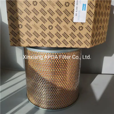 High Quality Compressor Parts Air Filter Element 1030097900